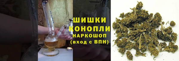 PSILOCYBIN Заводоуковск