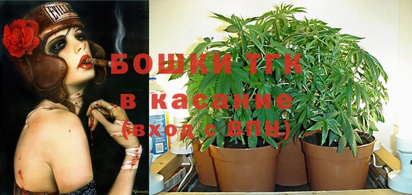 PSILOCYBIN Заводоуковск