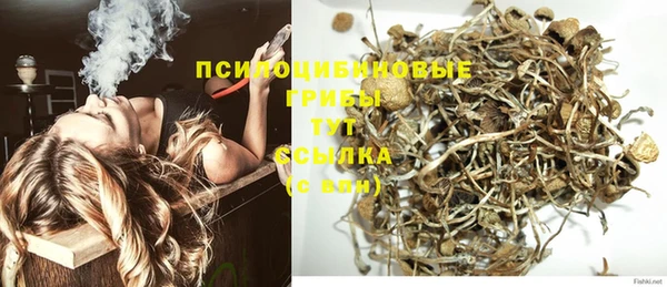 PSILOCYBIN Заводоуковск