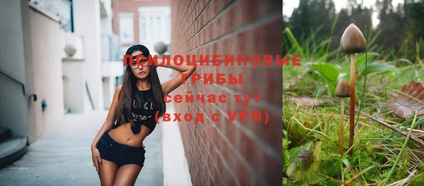 дурь Ельня
