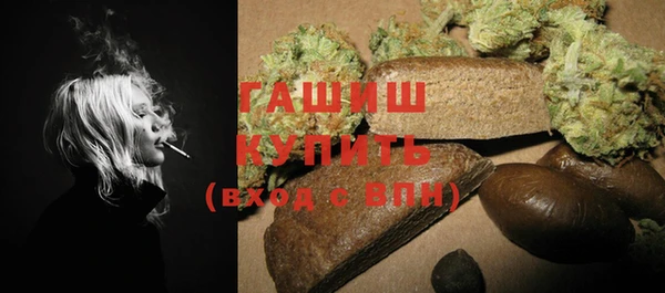 PSILOCYBIN Заводоуковск