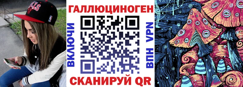 Галлюциногенные грибы Psilocybine cubensis  Купить  Курчалой 